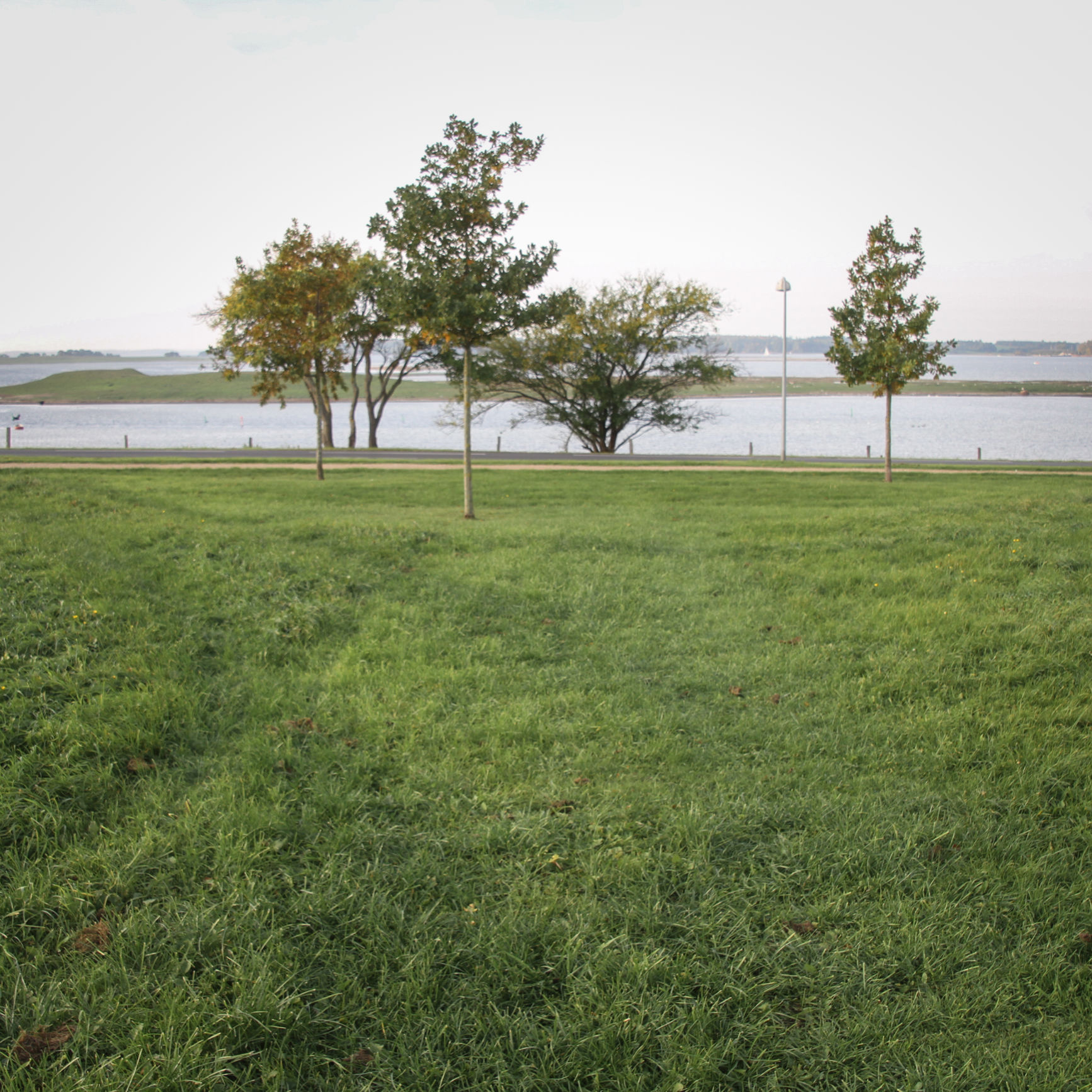 Helligkorspark med udsigt til Roskilde Fjord