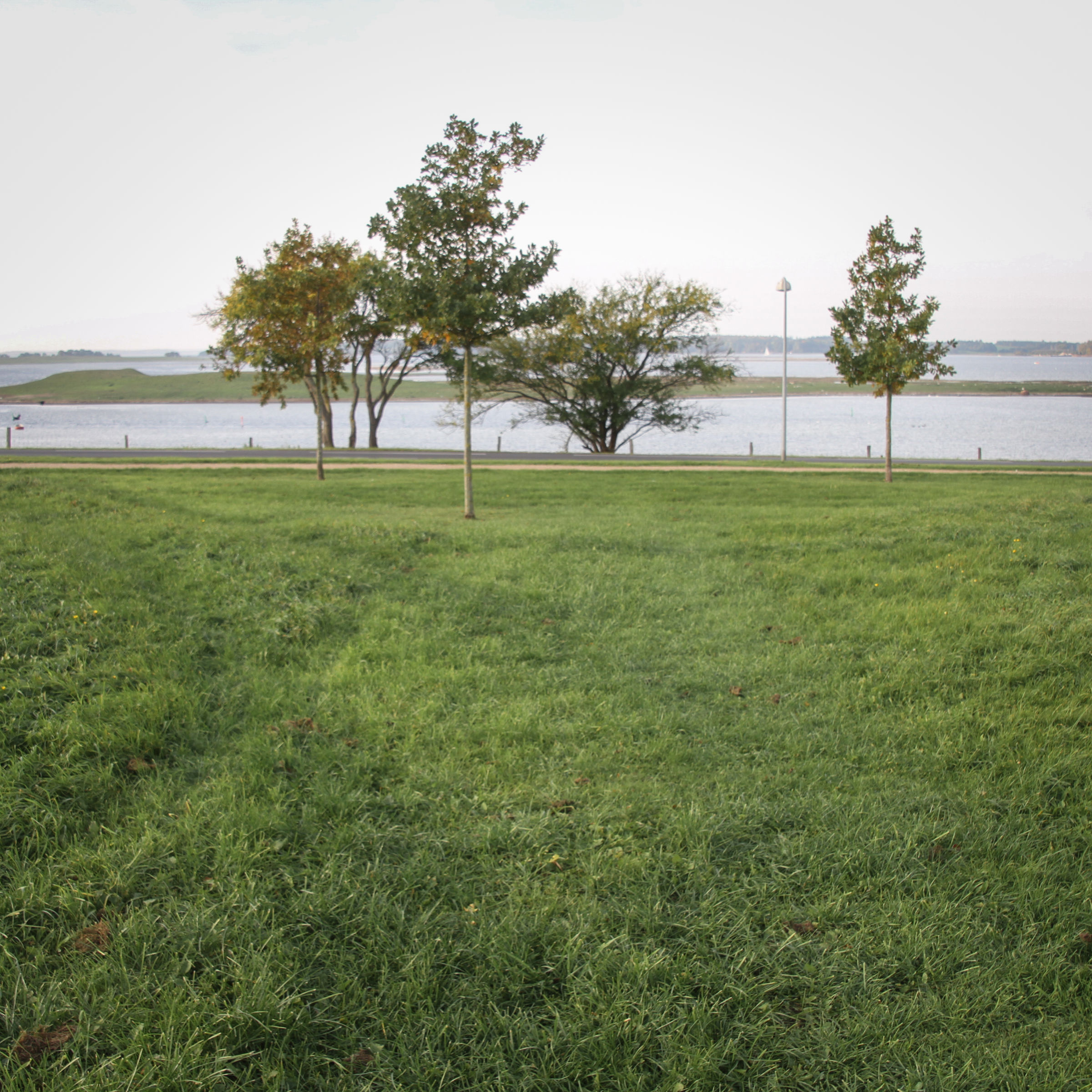 Helligkorspark med udsigt til Roskilde Fjord