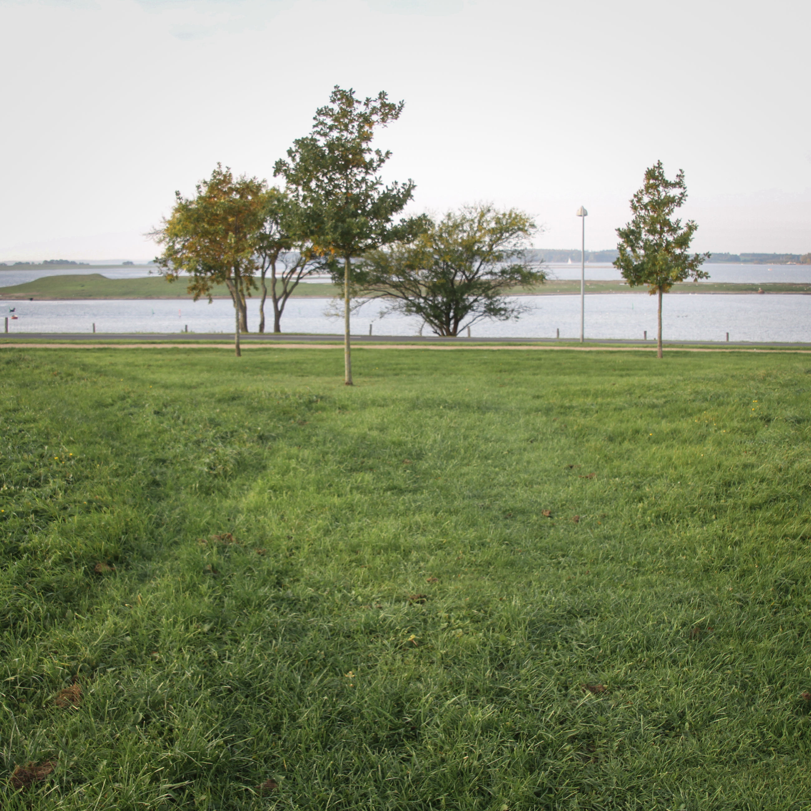 Helligkorspark med udsigt til Roskilde Fjord