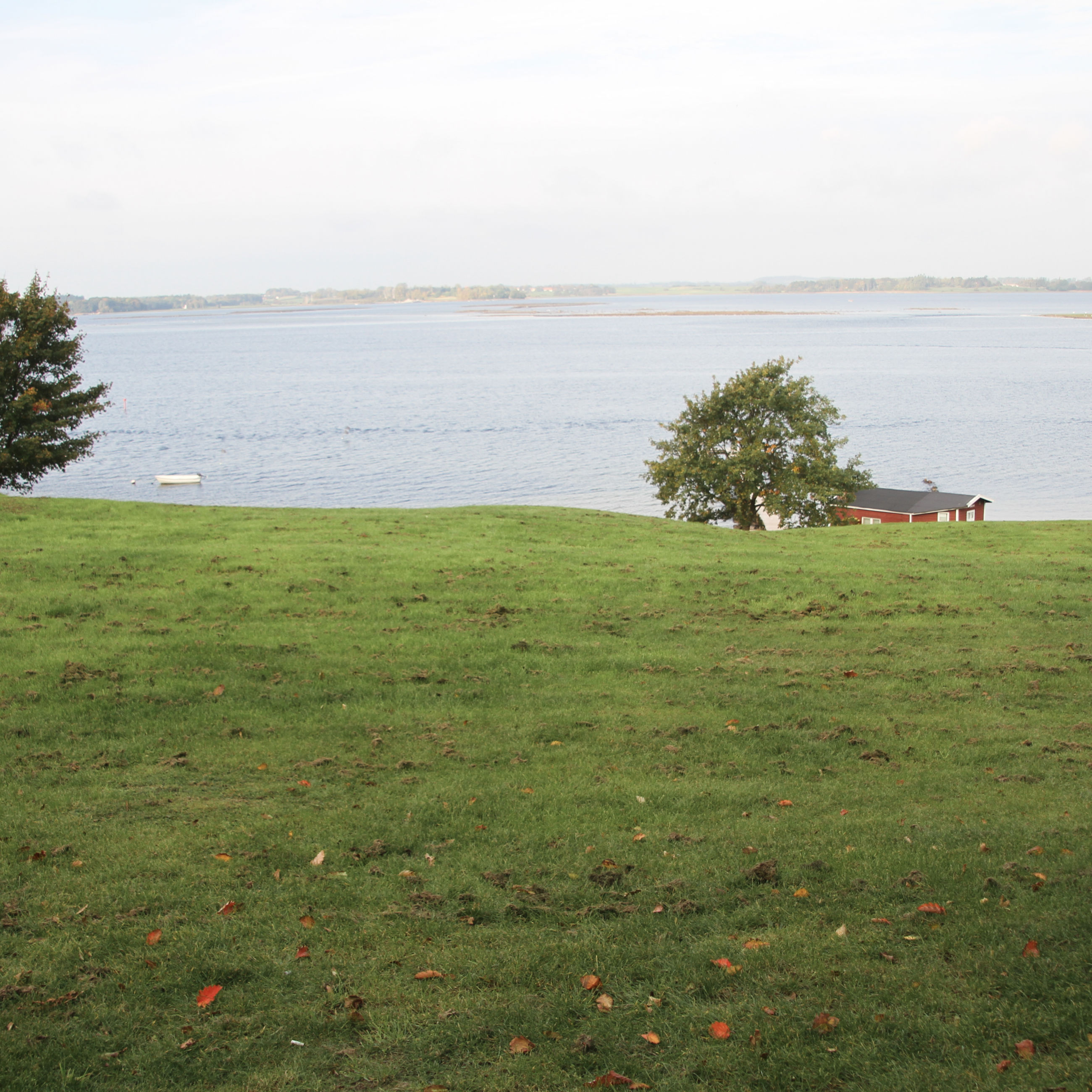 Klinten i Jyllinge med Roskilde Fjord i baggrunden