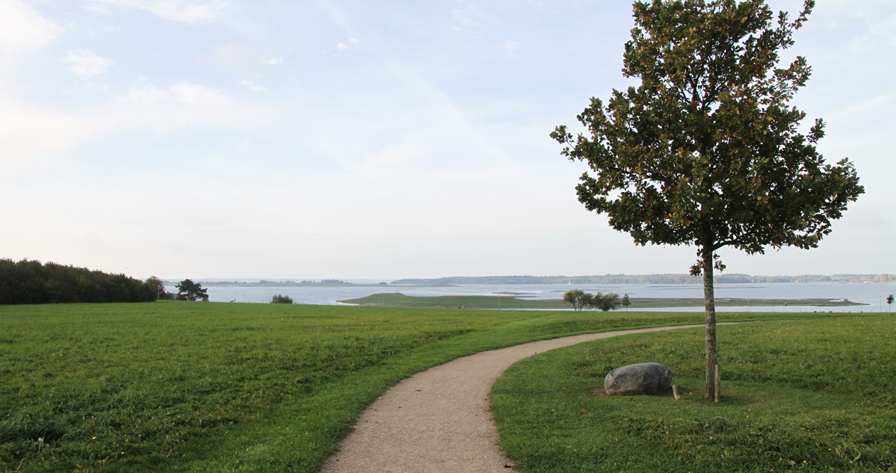 Hellig Kors Park med sti med kig mod Roskilde Fjord