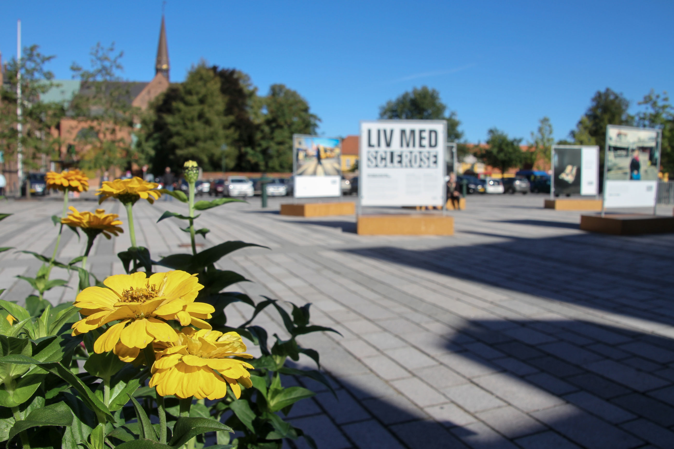 Stændertorvet med udstilling og blomster i forgrunden