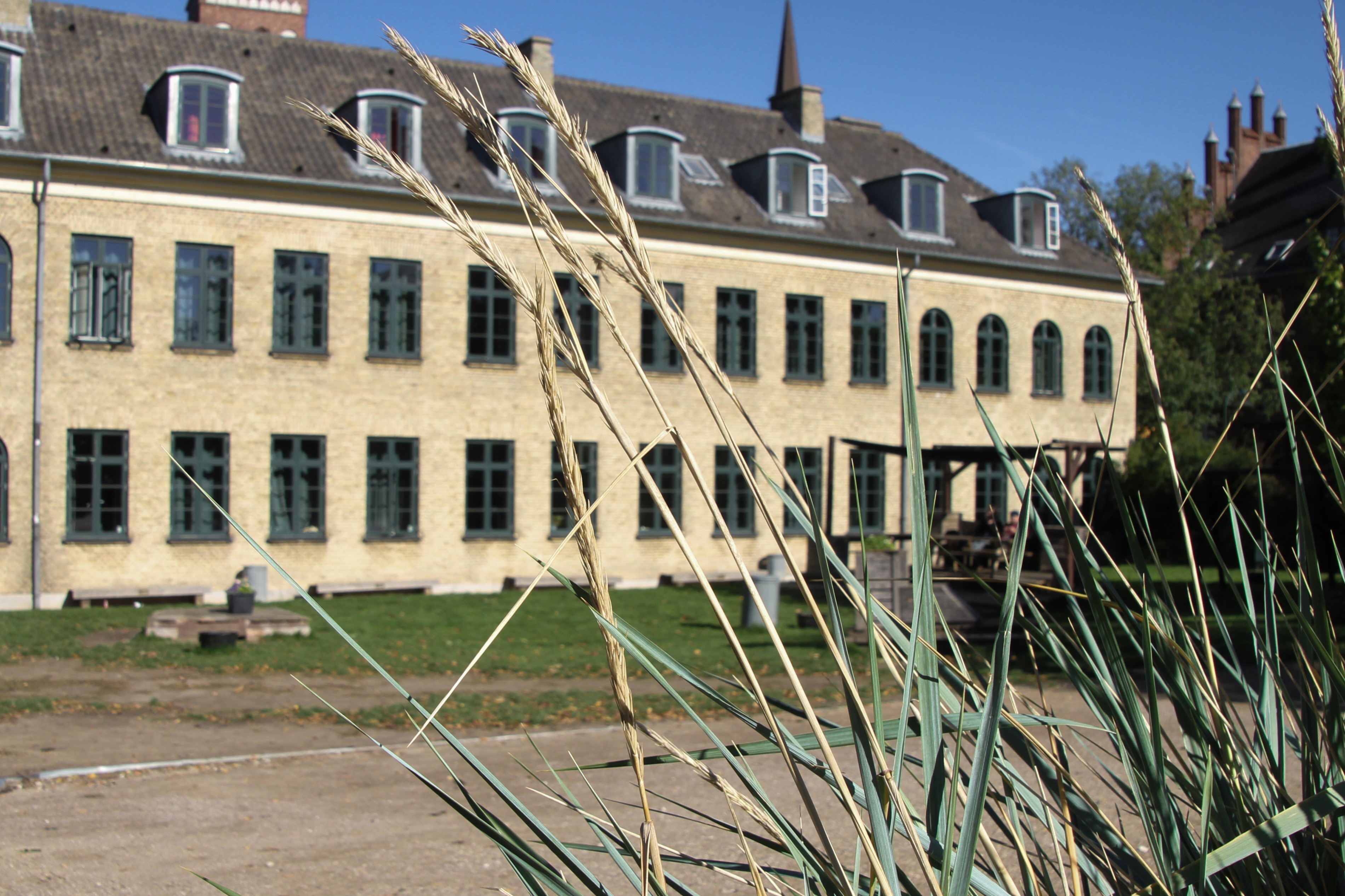 Latinerhaven med grusarealet