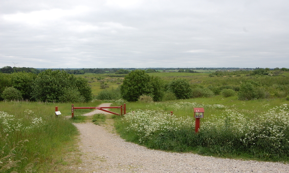 Himmelev Skov er statsejet