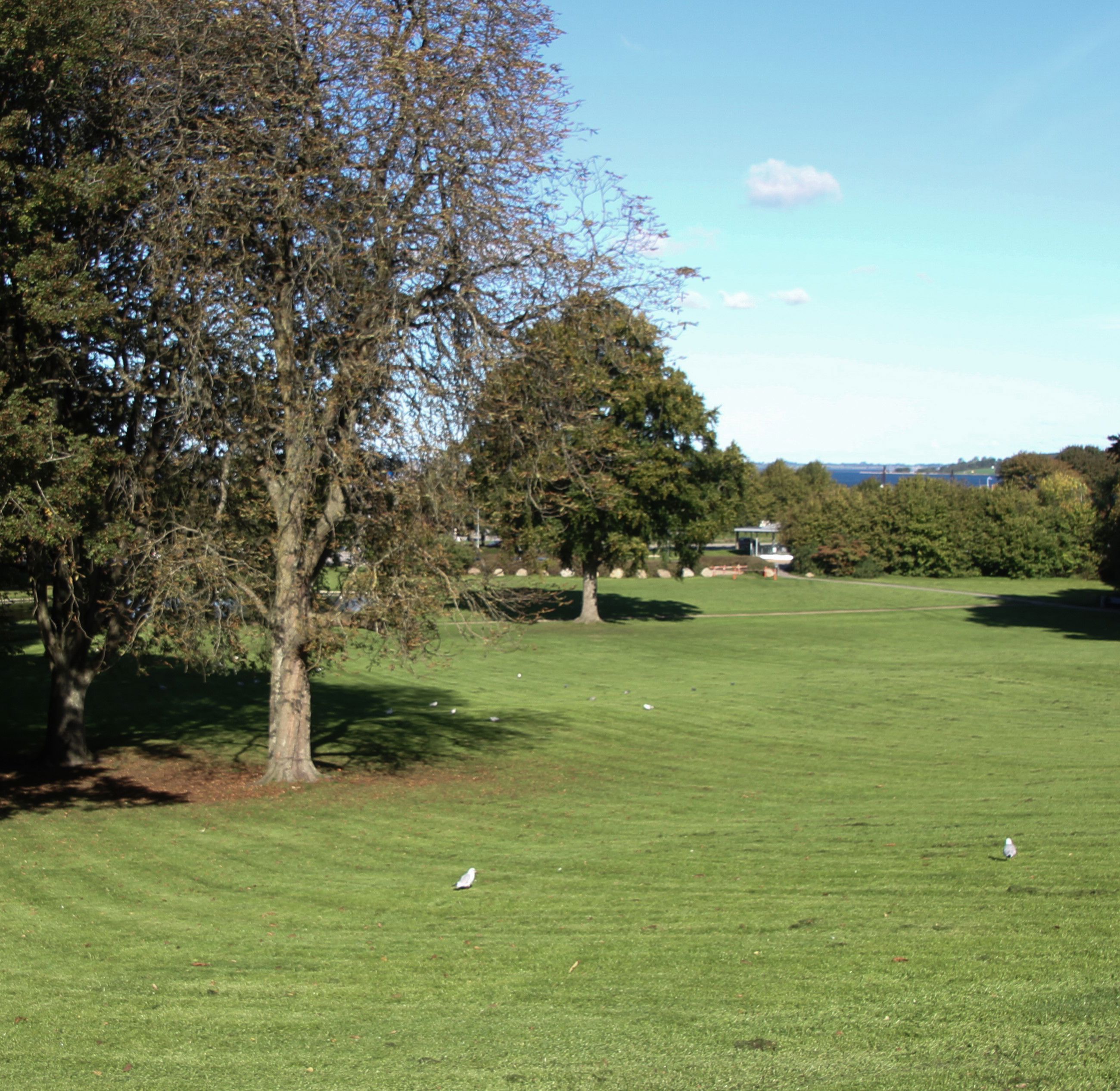 Byparken med udsigt mod Roskilde Fjord